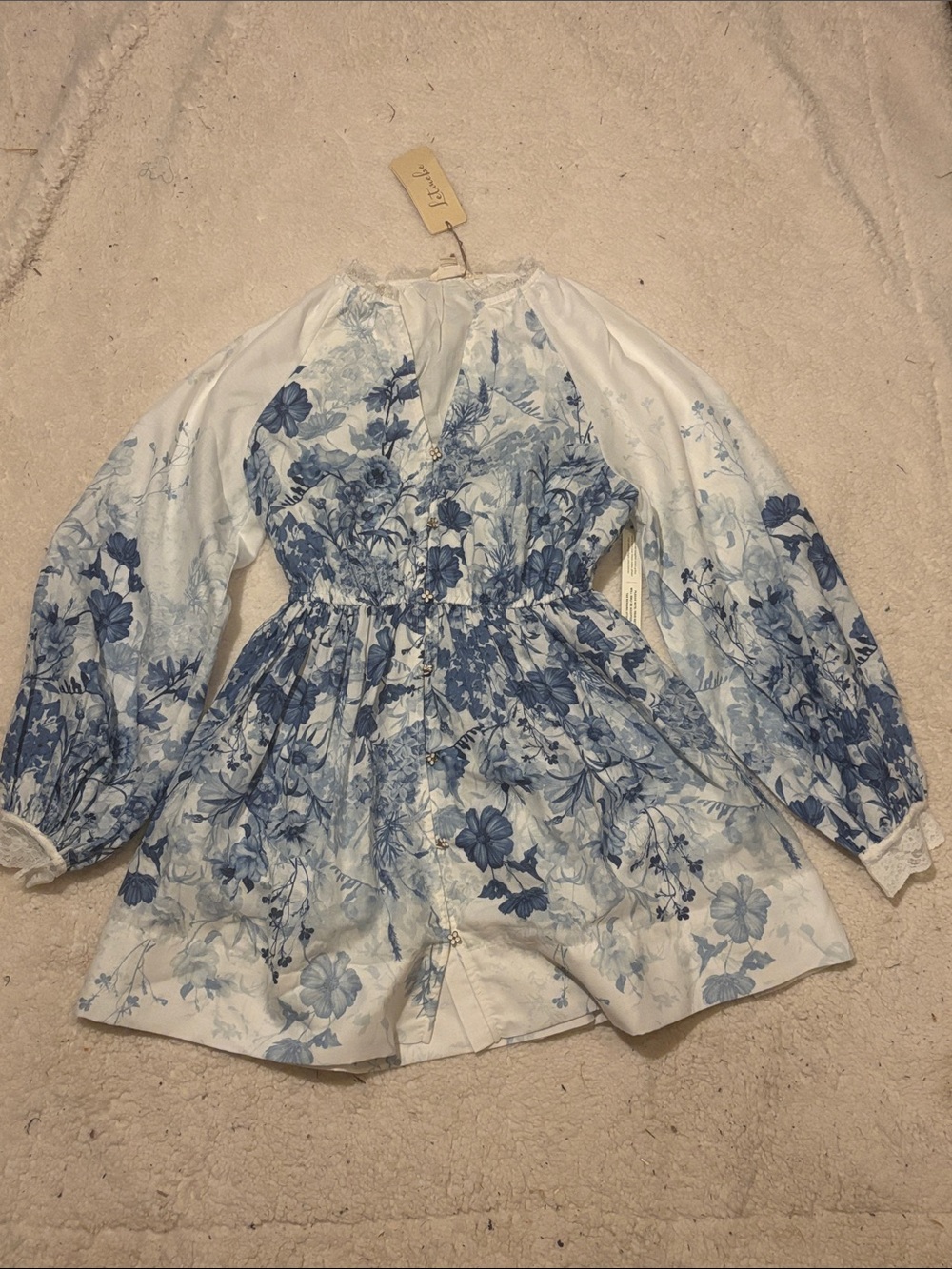 Anthropologie Let Me Be Floral Mini Dress - Picture 4 of 15